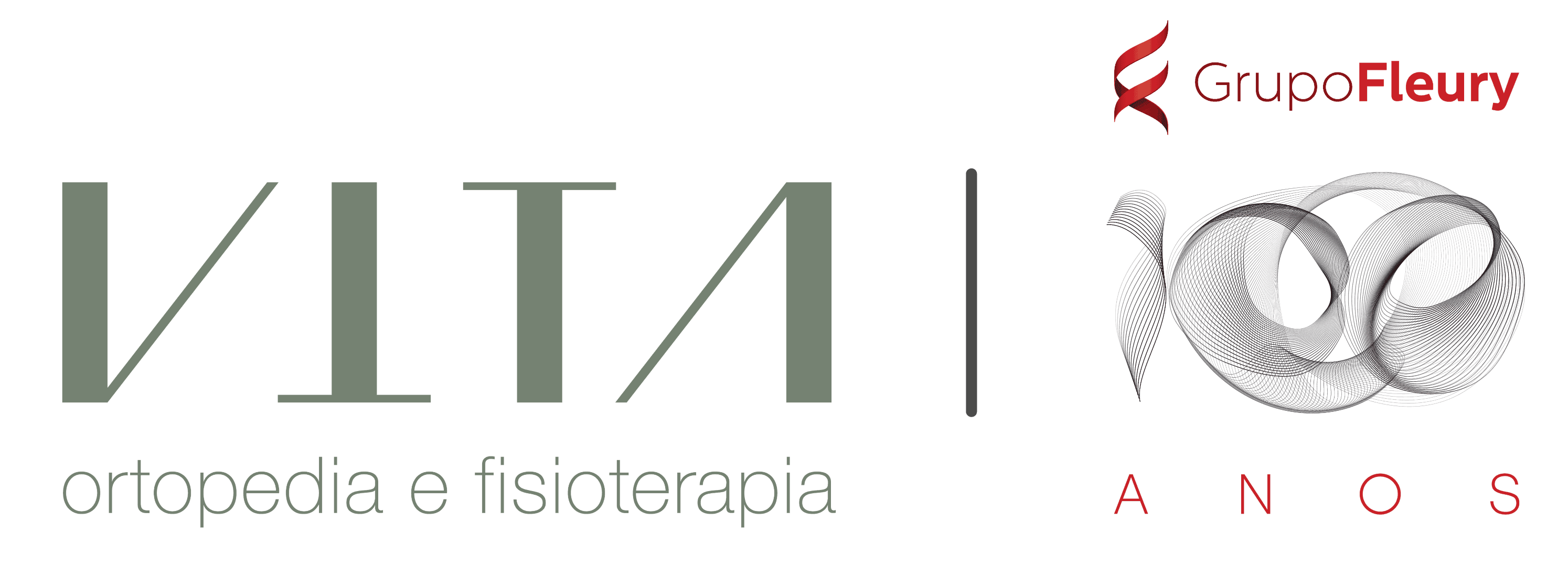 VITA_ENDOSSO 100 ANOS - COR.png